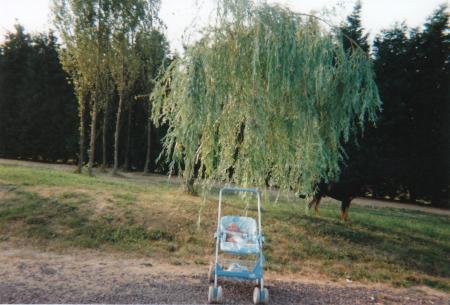 moi
